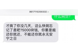 涟源涟源的要账公司在催收过程中的策略和技巧有哪些？